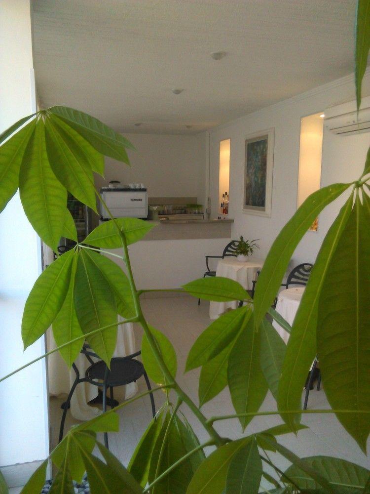 Hotel Milano Marina di Pietrasanta Zewnętrze zdjęcie